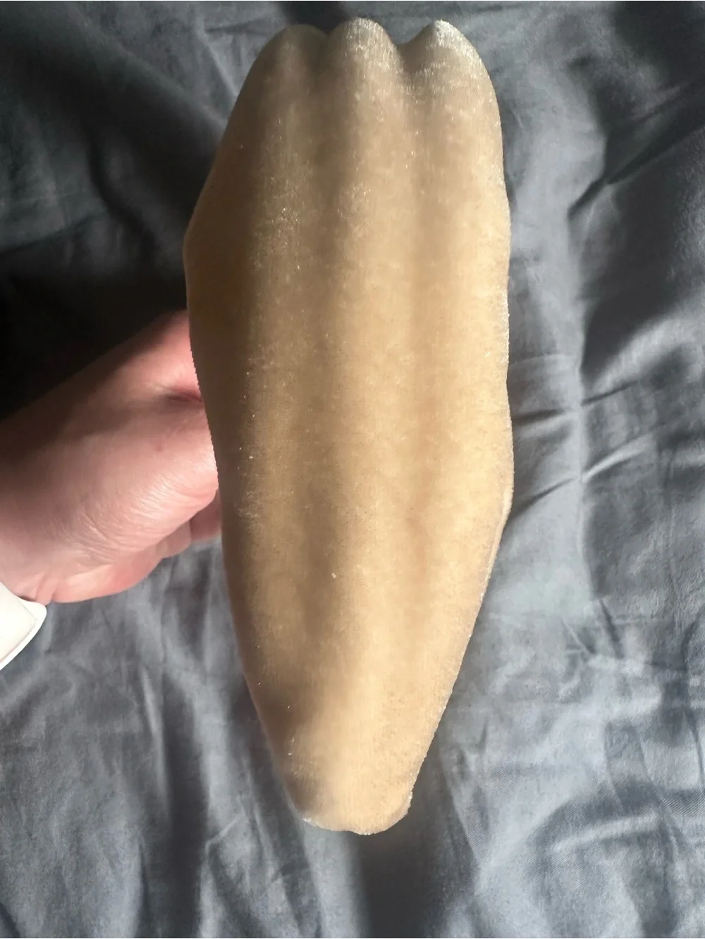 NWOT Lele Sadoughi Beige Velvet Knotted Headband
